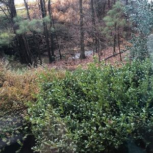 Meet your Posher, Judi